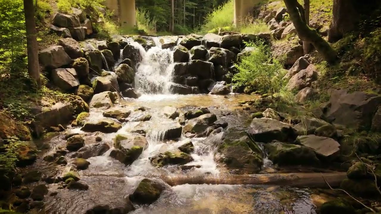 Bach und Wasserfall im Steigbachtal